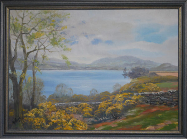 Gorse in the Lake District, Northern England