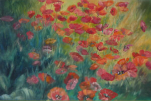 Shining poppies