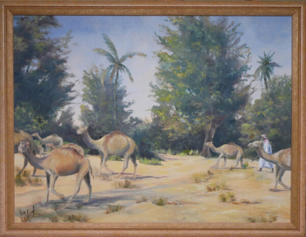 Camel herd in Liwa (Abu Dhabi)