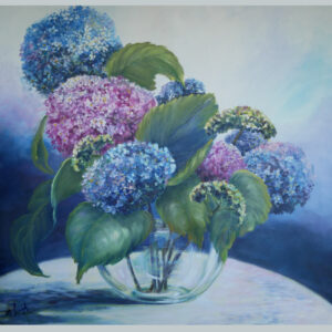 Hydrangeas