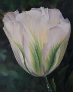 White tulip with green stripes