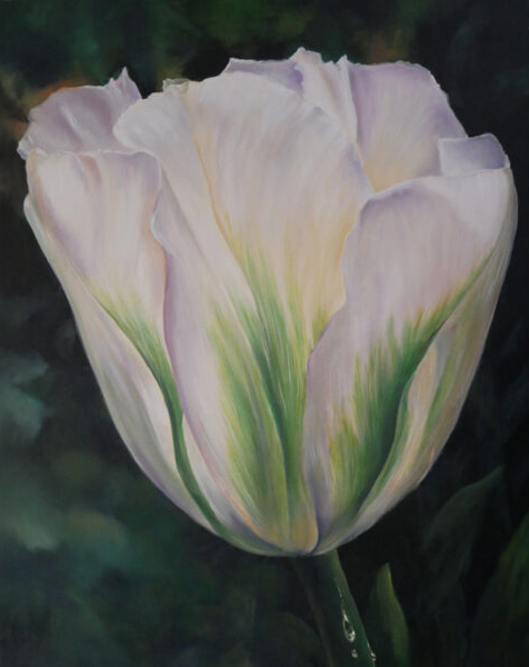 White tulip with green stripes