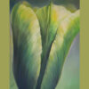 Yellow-green tulip, very close