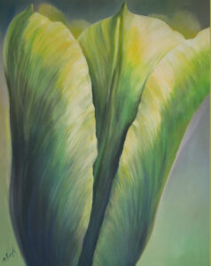 Yellow-green tulip, very close