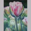 Small pink tulips nesteled