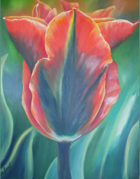 Orange-red tulip with a green center