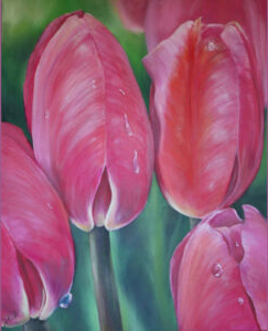 Tearing tulips in pink