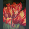 Parrot tulips