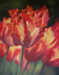 Parrot tulips