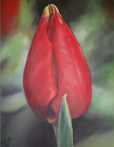 Red tulip with a leaf