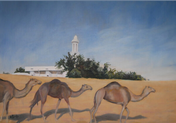 Camels in the desert (in Dubai with a small white mosque)