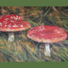 Two toadstools