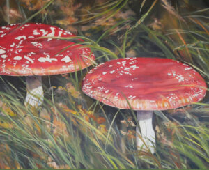 Two toadstools