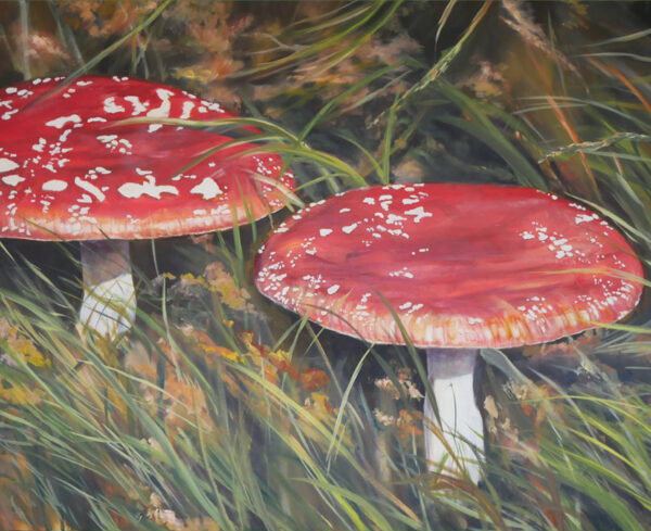 Two toadstools