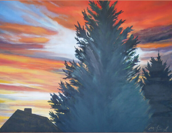 Fir trees in the sunset