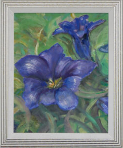 Gentian